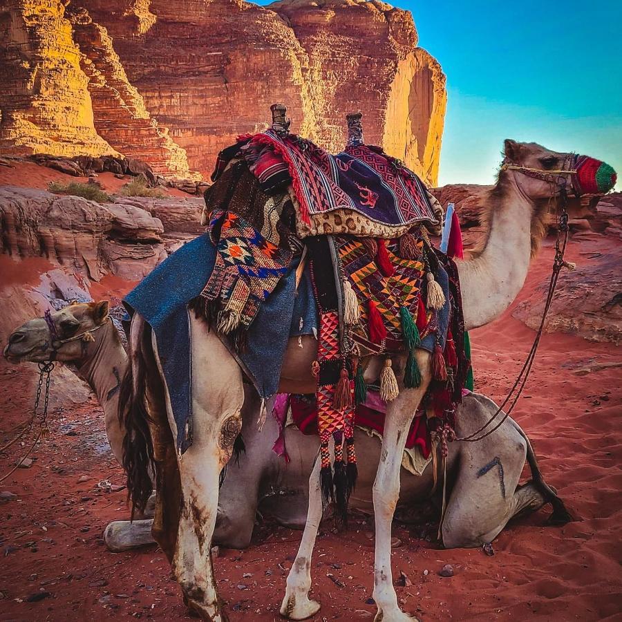 Wadi Rum Bedouin Time Exterior photo