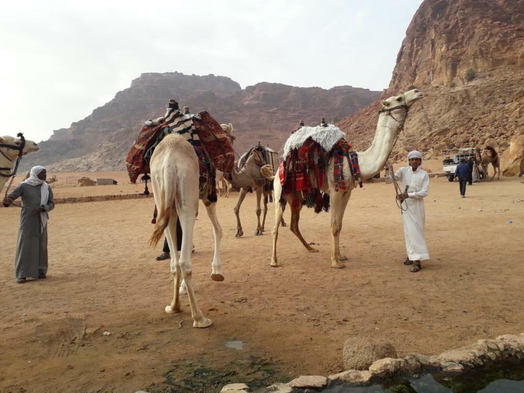 Wadi Rum Bedouin Time Exterior photo